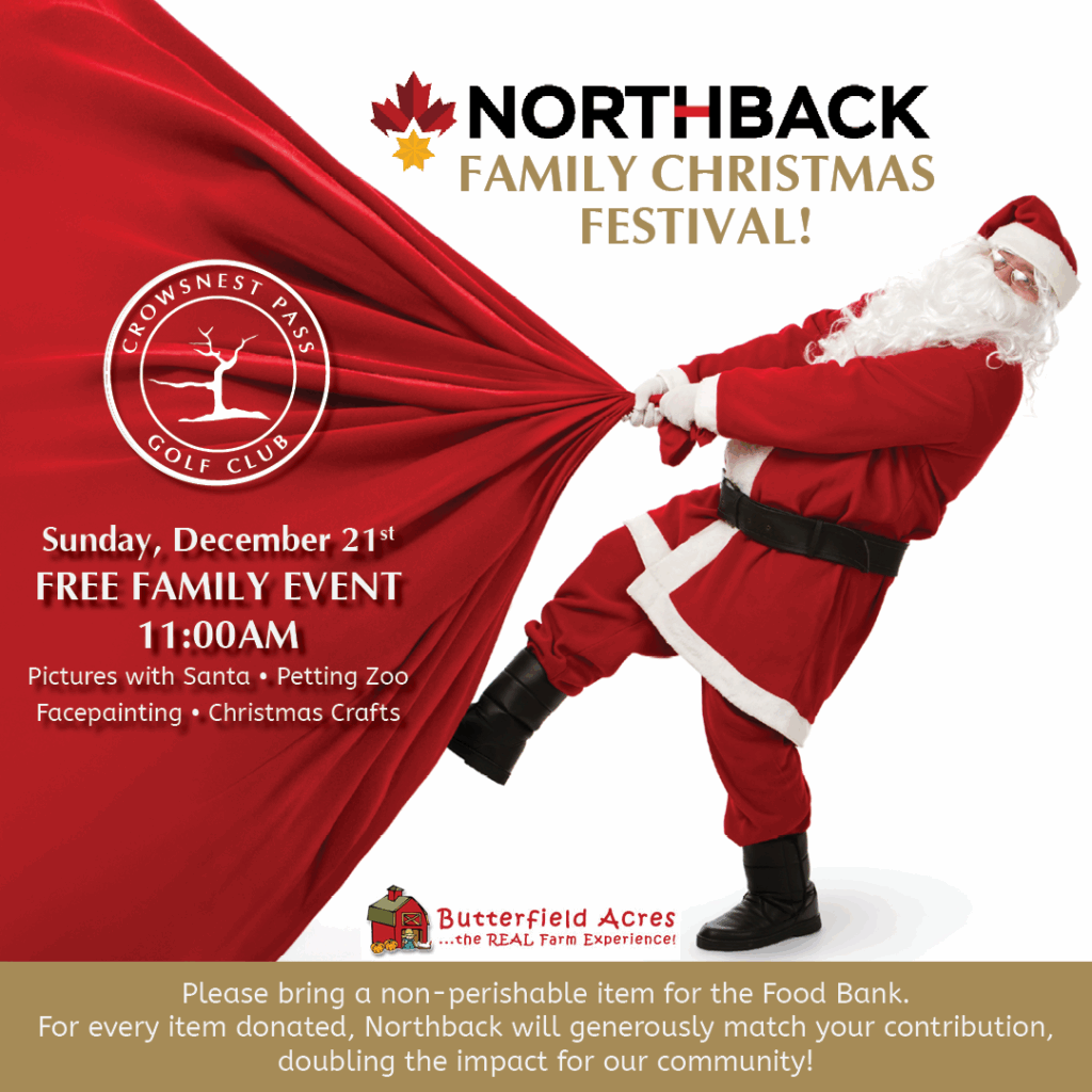 christmas festival food bank