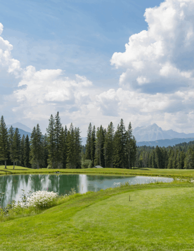 hole1 cnp golf