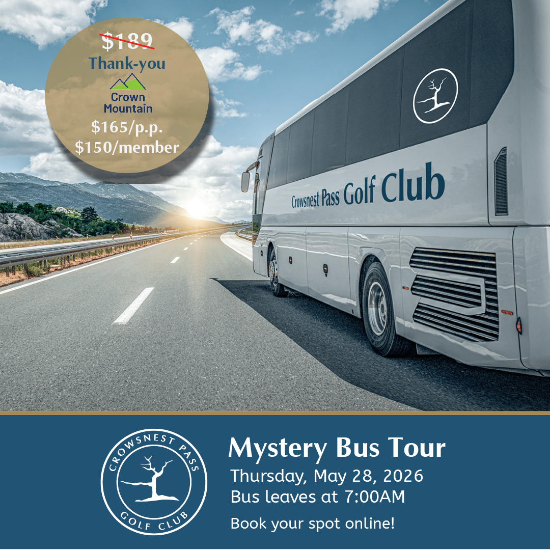 mystery bus may